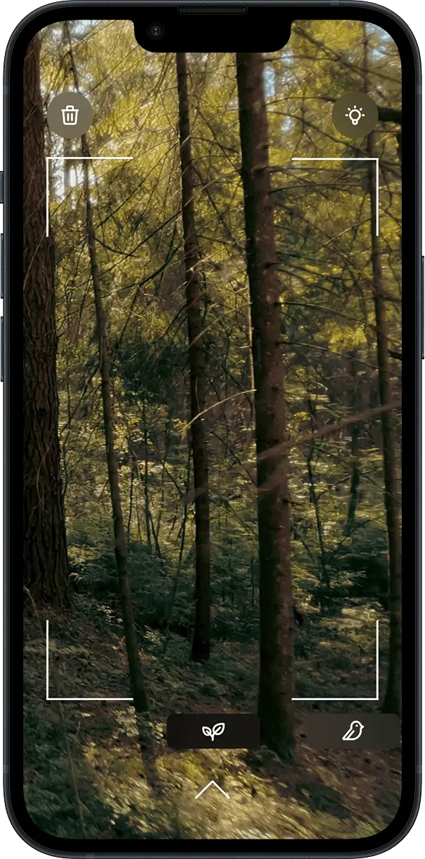 Smartphone showing the NaturKompass app for identifying plants and wildlife