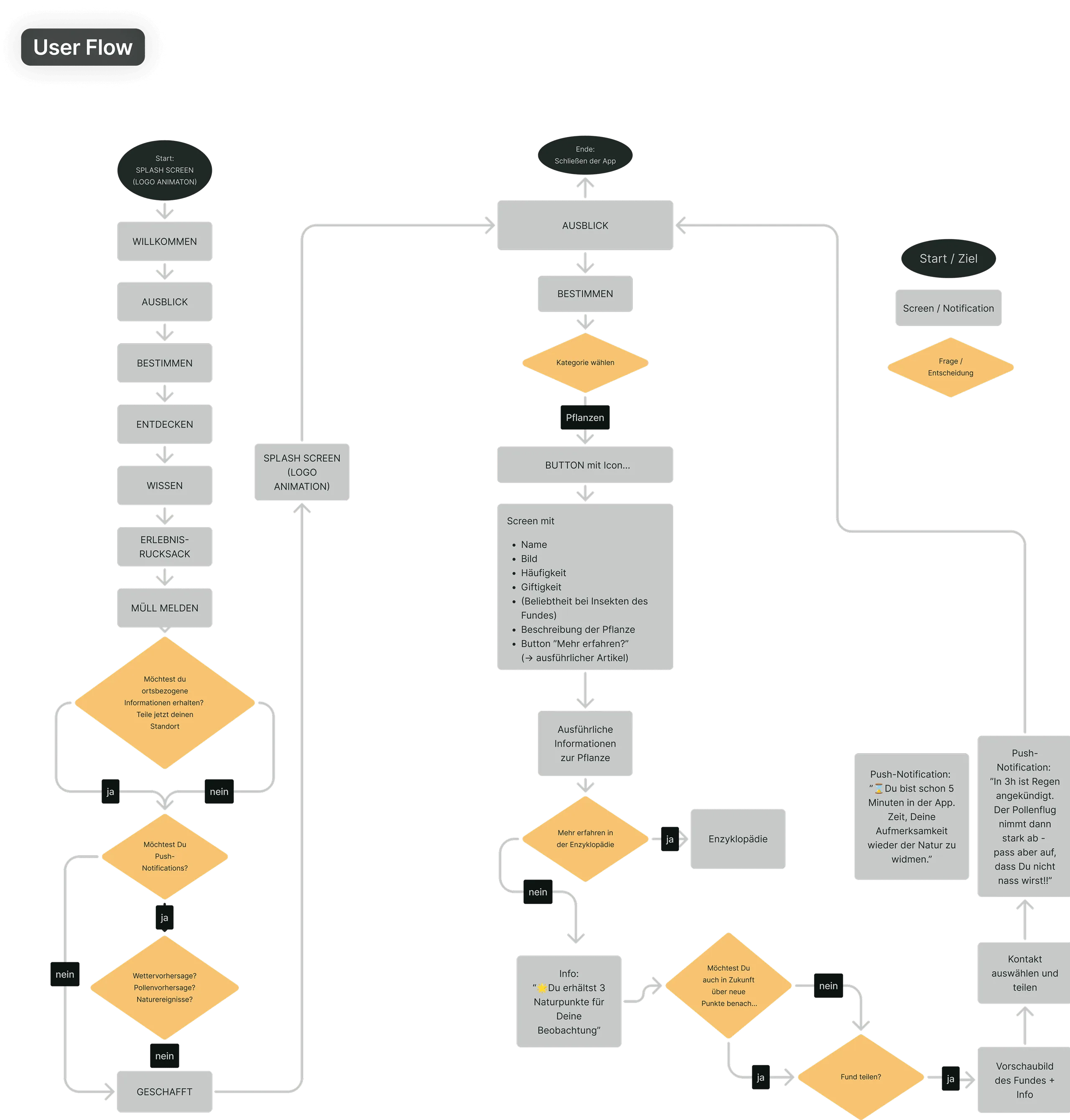User Flow